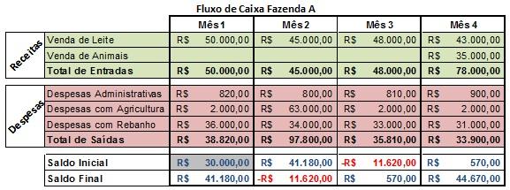 Fluxo de caixa de uma fazenda produtora de leite Exercício: Faça uma análise do fluxo de caixa acima, o que poderia ser