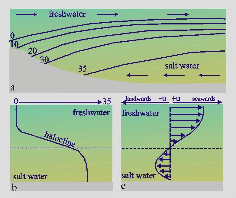 Circulação e mistura em estuários Classificação de estuários Classificação Prisma de maré