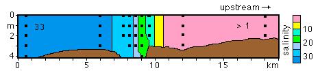 Circulação e mistura em estuários Classificação Canal do Rio Myall - Austrália Seção de salinidade. Os quadrados marcam as estações onde a salinidade foi medida.