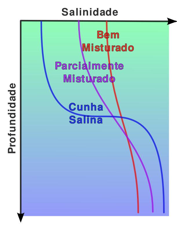 Perfil de salinidade Circulação e mistura em estuários Classificação Olga T.