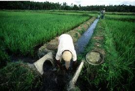 Irrigação: Conceito Clássico Irrigação é a aplicação artificial de água ao solo, em