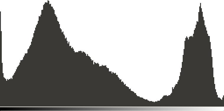 43 1-topo topo Figura 14: Exemplo de identificação da variável topo no histograma da imagem Devido ao fato de o objetivo deste trabalho se tratar da obtenção de um programa único que seja capaz de