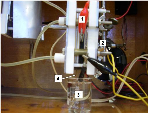 Figura 6 - Sistema eletroquímico empregado. 1) Eletrodo de trabalho (ADE ); 2) Contra eletrodo (aço inox); 3) Eletrodo de referência; 4) Membrana.