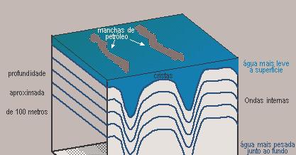 As ondas internas propagam-se igualmente através do movimento das cristas, em que a água mais densa se aproxima da superfície e das cavas, em que a água
