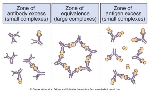 Complexos