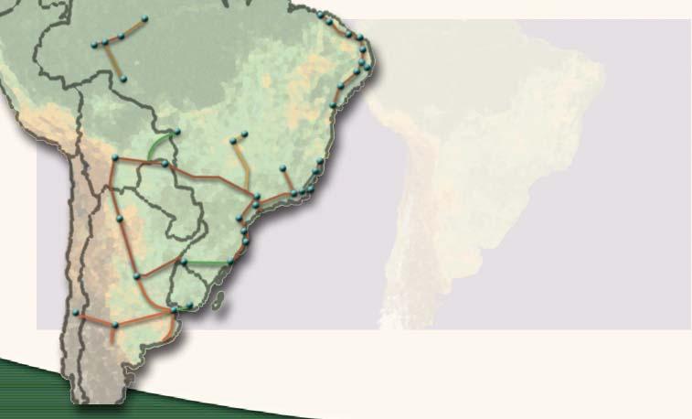 GÁS NATURAL - BRASIL Bacia do Solimões 1,8 tcf BRASIL 10,8 tcf Reservas Sul-Sudeste 7,3 tcf Reservas Nordeste 1,7 tcf Norte Bilhões m 3 GN representa apenas 15