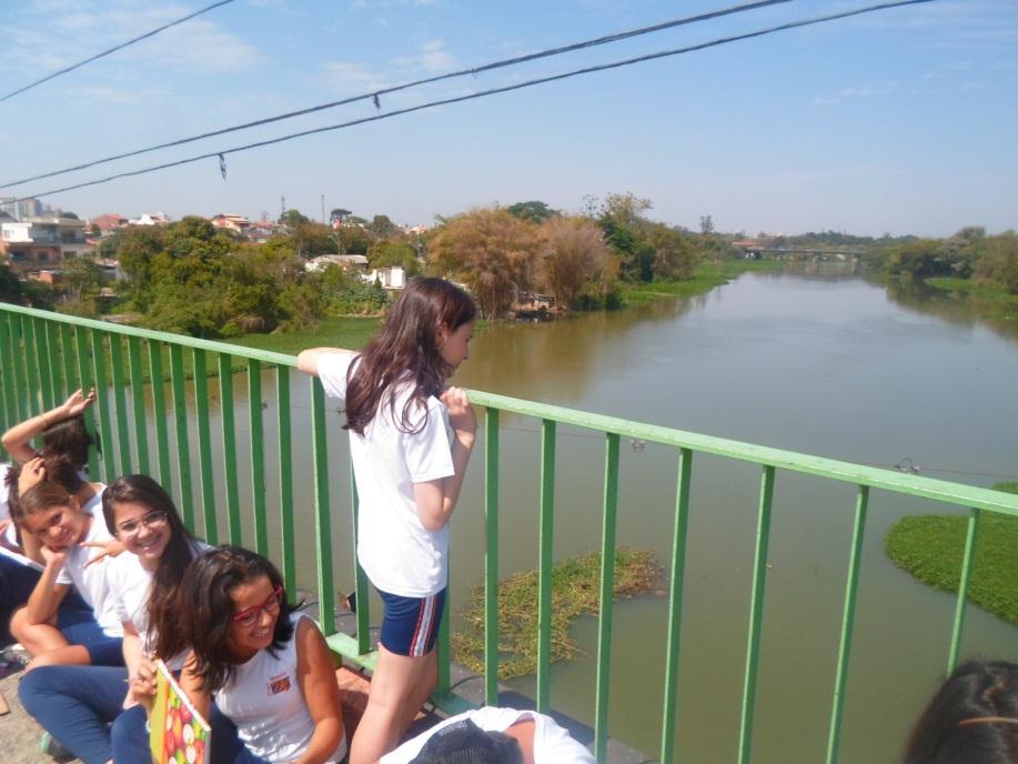 podendo chegar em algumas conclusões: doméstico. Apresenta plantas aquáticas, devido a poluição.