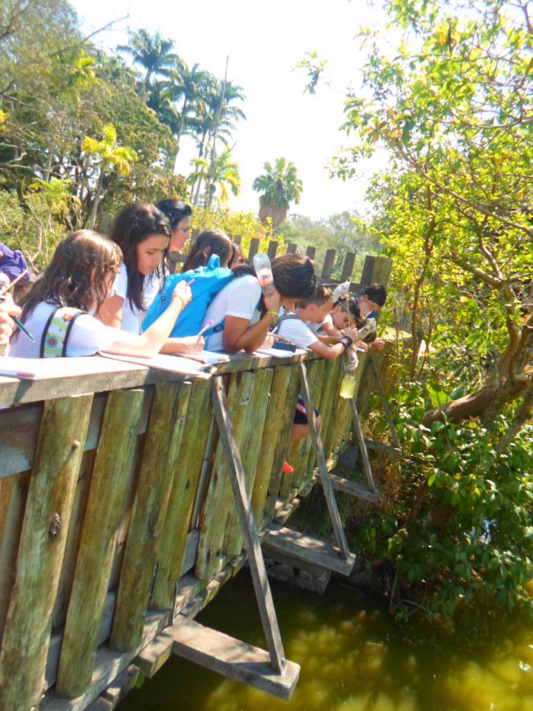 E nossa última parada foi o Lago do Parque da Cidade, onde coletamos sua água, observamos suas características, fizemos um piquenique e nos divertimos bastante (claro, que não deixamos nenhum lixo no