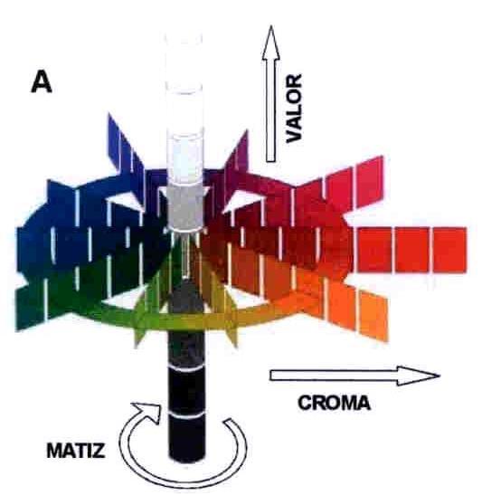 Elementos básicos que compõem uma determinada cor Croma