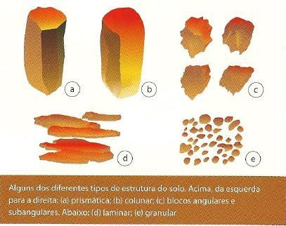 Estrutura do solo