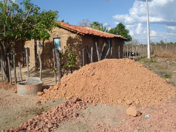 Outras características morfológicas Nódulos