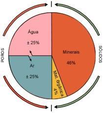 Principais componentes do solo Composição volumétrica de solos minerais (representação arbitrária) Água Ar