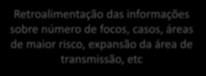 Municipal Retroalimentação das informações sobre número de focos, casos, áreas de maior risco,