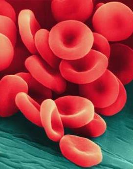 Hemácias Compõem cerca de 42 a 47% do volume do sangue ( 5,4 e 4,8 milhões/μl ); São células em forma de disco bicôncavo, sem núcleo ou outras organelas e que não realizam divisão celular ou