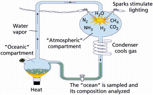 Atmosfera da Terra primitiva: CH4, H2, NH3, H2O(VAPOR) Havia mares primitivos e intensas descargas elétricas e radiações à teriam dado energia para a produção de moléculas maiores e mais complexas: