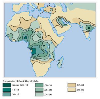 entre a freqüência do alelo da anemia falciforme e a ocorrência da
