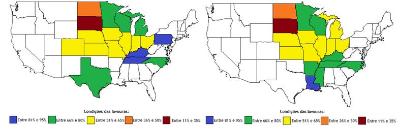 Condições das lavouras e estimativa de produtividade: milho e soja Fonte: USDA; Bloomberg; elaboração: PINE Macro & Commodities Research Agora focando na distribuição geográfica das condições