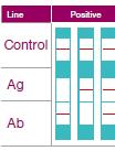 3.4 Interpretação do resultado do teste TESTE INVÁLIDO Se não aparecer a linha de control o teste é considerado inválido, mesmo que apareça uma linha de teste.