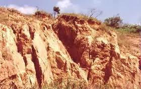 PROBLEMAS DOS SOLOS CAUSA: DESMATAMENTO Erosão: é o desgaste do solo e das rochas e seu transporte, em geral