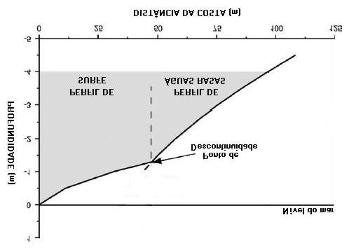 29 o perfil de águas rasas (seção posterior) é definido desde a zona de arrebentação até a profundidade de fechamento do perfil. A interseção dessas duas seções é chamada de ponto de descontinuidade.