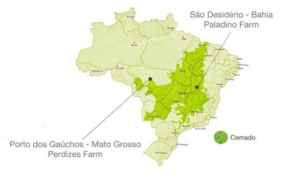 213 hectares no município de Porto dos Gaúchos MT, pertencentes a SLC Ag