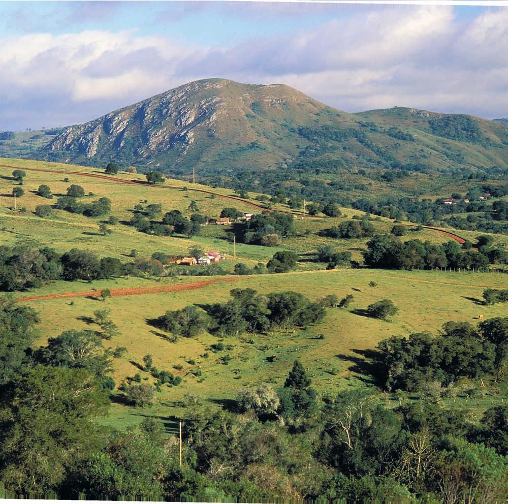 LEONID STRELIAEV/NEXTFOTO Vista de área rural de Campos do Sul (Rio Grande do Sul, 2005). Bate-papo Livro para análise do Professor. Venda proibida.
