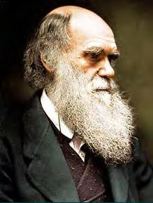 Charles Robert Darwin (1809-1882) A Origem das