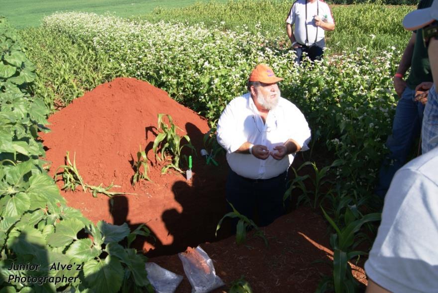 Ambiental Plantio Direto Associada à FEBRAPDP; Projeto Solo VIVO EMBRAPA/ITAIPU/ FEBRAPDP e ASPIPP