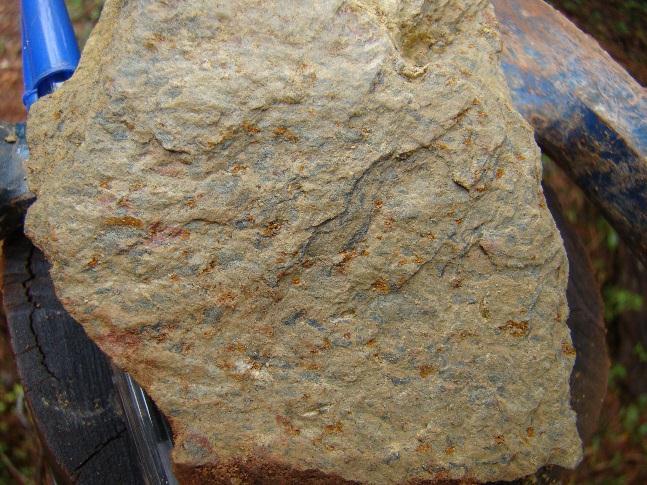 Figura 8 Serpentina xisto manchado aflorando como blocos, amostra FLM-16. As rochas máficas são representadas por anfibolitos.