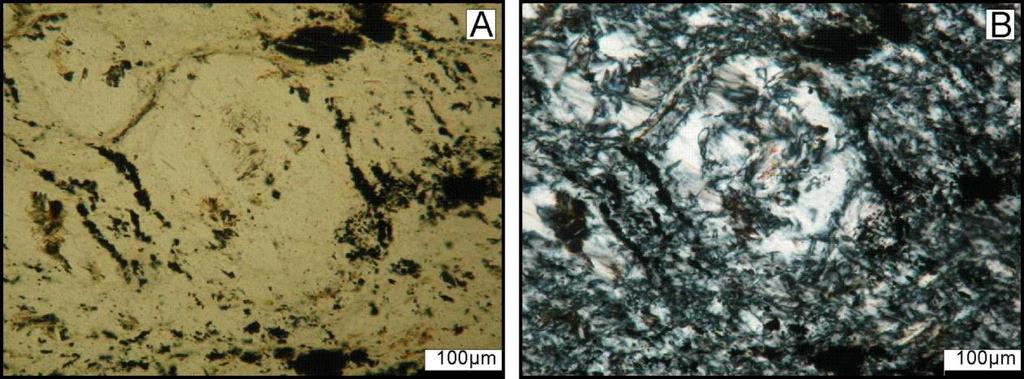 Os opacos presentes nas rochas de anisotropia leve são anédricos, preenchem fraturas, ocorrem como lentes nos planos de clivagem de