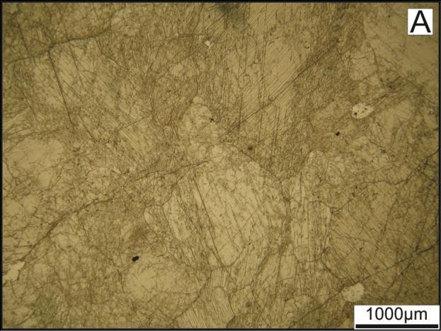 59 anédricos ricos em minúsculas inclusões fluidas. A escapolita foi observada nos anfibolitos, e ocorre sob a forma de alguns cristais anédricos que apresenta transformação parcial e aspecto fibroso.