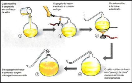 A teoria de Redi foi questionada com a descoberta do microscópio, e consequentemente das bactérias e micro-organismos.