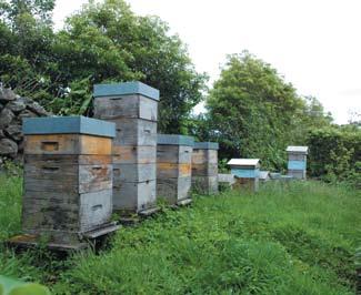 O Decreto-Lei 173/2005, no art. 13º 2c, determina: A notificação prévia da aplicação de produtos perigosos para as abelhas aos agricultores vizinhos da área de aplicação (6).