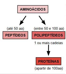 PPTÍDOS: