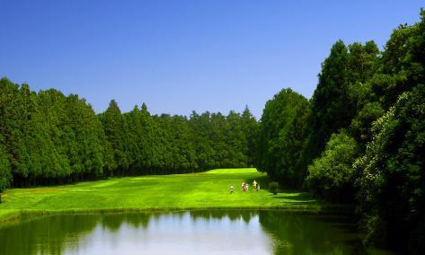 Golfe A Golfdigest USA 2014 classificou o Furnas Golf Course como o segundo melhor campo de golfe de Portugal" Reconhecido