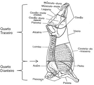 A maciez, principal atributo de qualidade da carne, está relacionada a vários fatores, entre eles, o posicionamento do músculo na carcaça do animal.