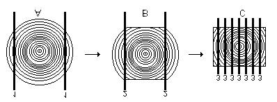 Figura 3. Desdobro Tangencial, baseado em Picadores Perfiladores (A,B) E Serra Circular Múltipla de dois eixos (C).