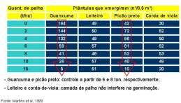 Reprodução assexuada propagação vegetativa