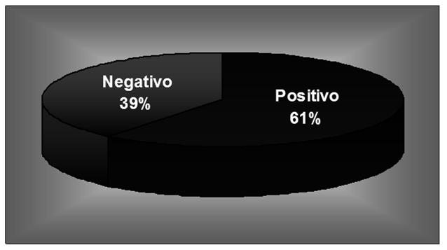 Toxoplasma gondii em gestantes Ribeirão Preto - SP Duarte et al.
