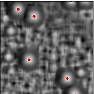 252 imagens, como forma de compararmos a contagem realizada pelo especialista e a quantidade de colônias de bactérias encontradas pelo algoritmo Template Matching.