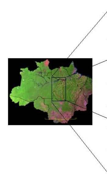 fornecer subsídios para responder algumas perguntas fundamentais, por exemplo: como esta população está distribuída?, como representar espacialmente esta população?