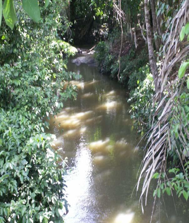 PROJETO TAQUARUSSU UMA FONTE DE VIDA OBJETIVO Revitalizar a sub-bacia do Ribeirão Taquarussu Grande, promovendo a recuperação ambiental, a conservação de áreas naturais