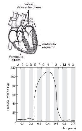 9. O esquema à esquerda mostra um coração humano em corte. À direita, o gráfico mostra a variação da pressão sangüínea no ventrículo esquerdo durante um ciclo cardíaco, que dura cerca de 0,7 segundo.