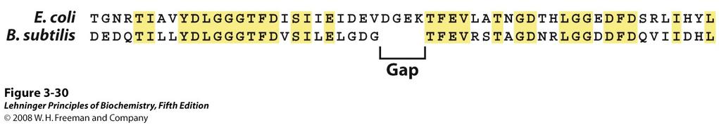 Conservação de aminoácidos permite identificar aqueles que são potencialmente importantes para a função NCX1 canino ENDPVSKIFFEQGTYQCLENCGTVALTIIRRGGDLTNTVFVDFRTEDGTA 416 NCX peixe zebra