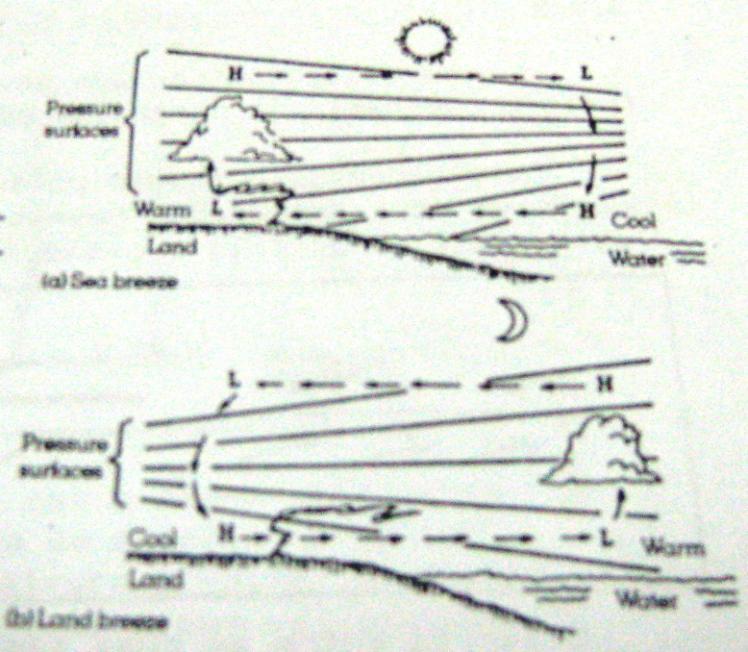 5.9.4.1 Brisa marítima e terrestre As brisas marítimas e terrestres são células de circulação directa do tipo de Hadley.