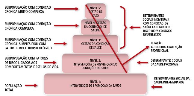 UM MODELO DE ATENÇÃO ÀS CONDIÇÕES CRÔNICAS PARA O SUS Gestão