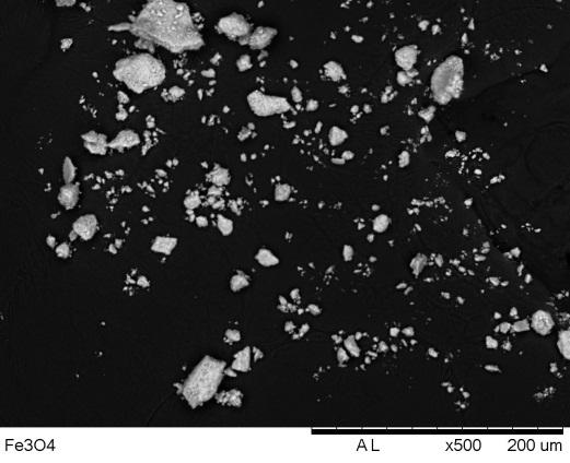 Uma nova abordagem da adição de DSS foi usada: inicialmente, as nanopartículas de magnetita foram sintetizadas, porém sem a adição do DSS durante