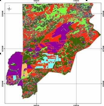 Figura 1. Mapa de uso das terras do Núcleo Rural Brazlândia. 3.2.
