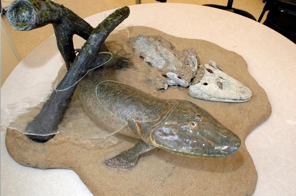 Tiktaalik