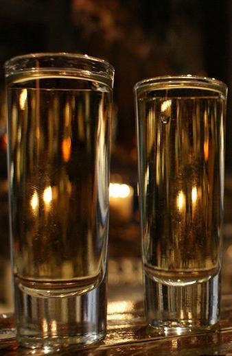 INTRODUÇÃO A tequila é um produto originário do México, obtido a partir da destilação de suco fermentado de agave (Agave tequilana Weber) variedade azul, podendo